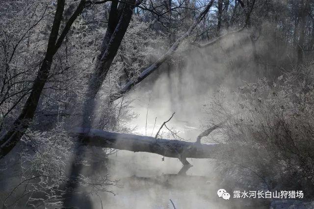 沙滩度假