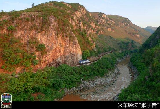 虫虫助手下载